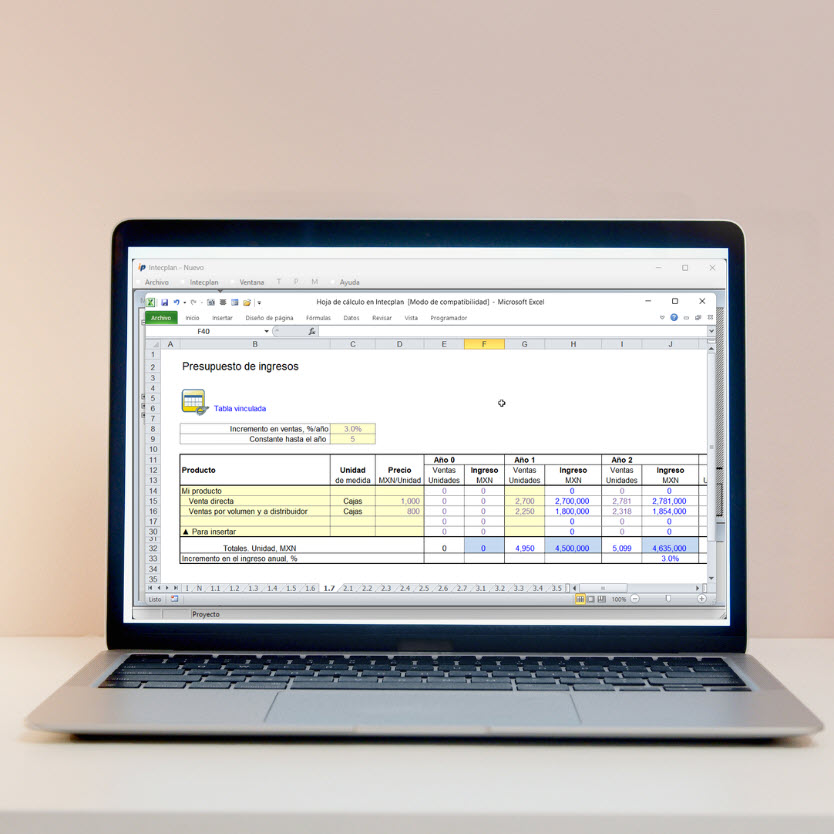 Intecplan Business Plan Software screenshot