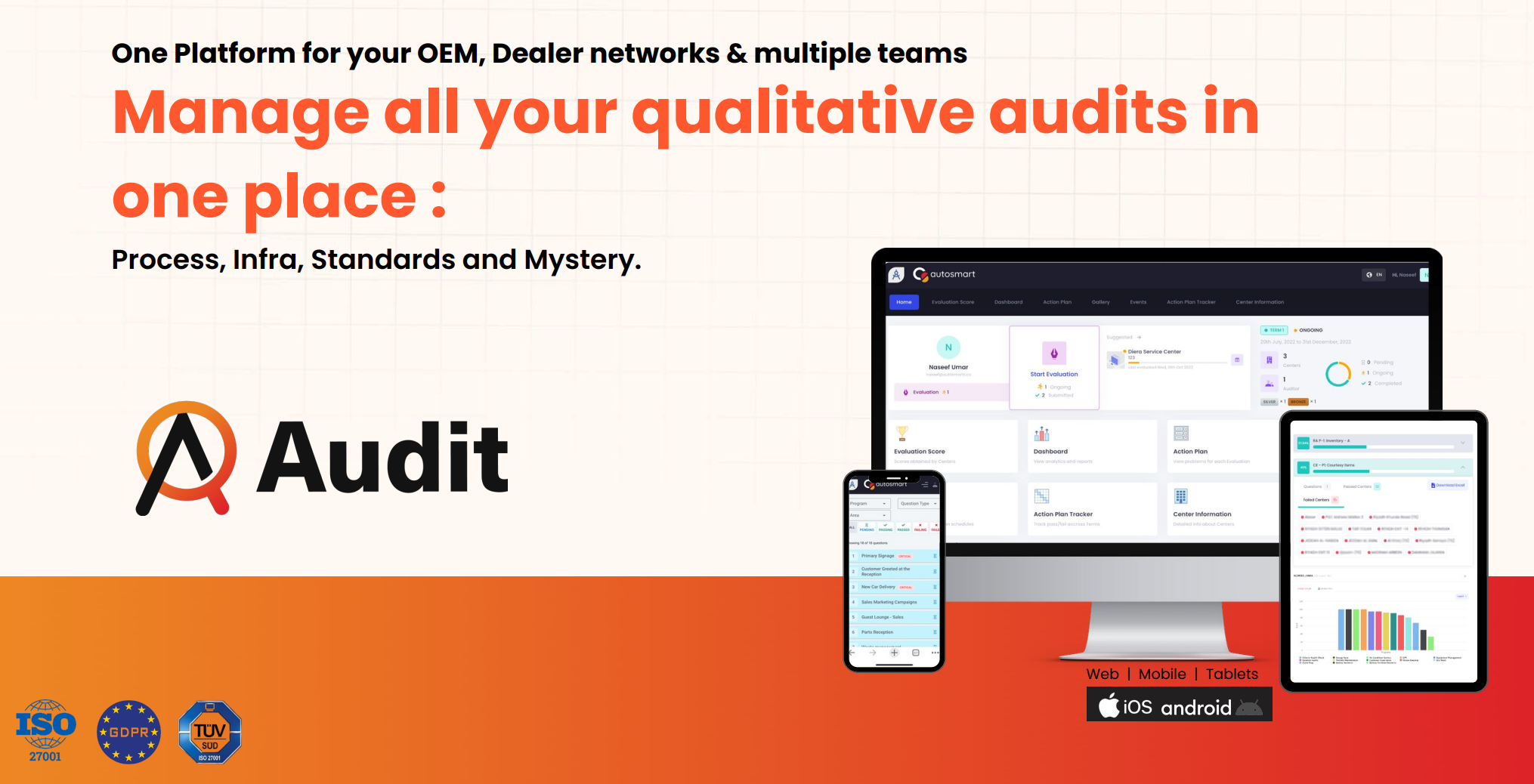 AutoSmart Audit screenshot