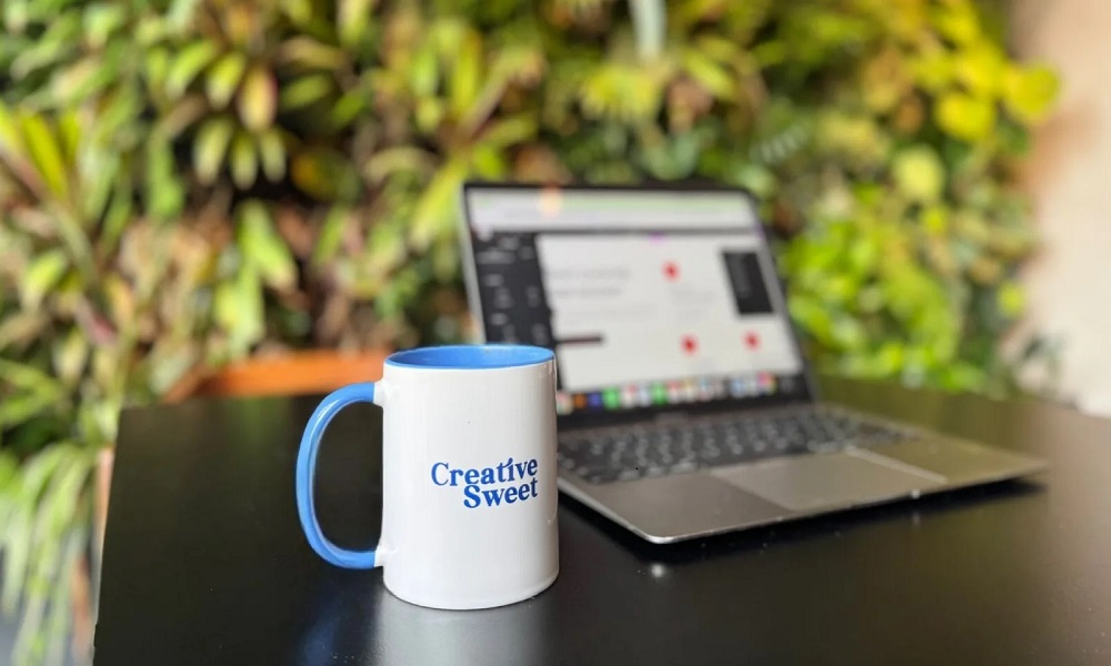 WordPress & Shopify Website Design screenshot