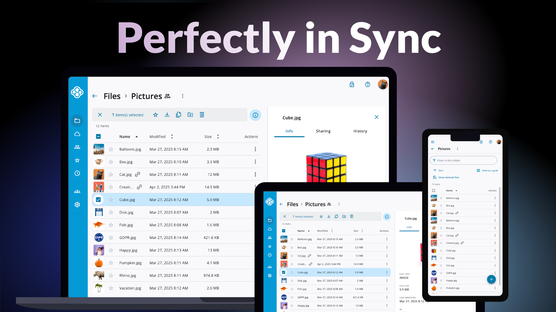 Sync.com screenshot
