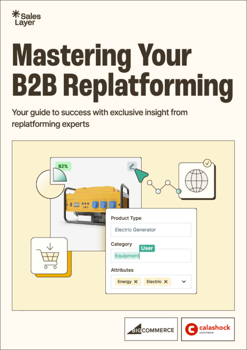B2B Replatforming Guide