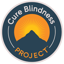Cure Blindness Project Icons
