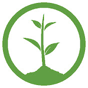 One Tree Planted Pillar 2021