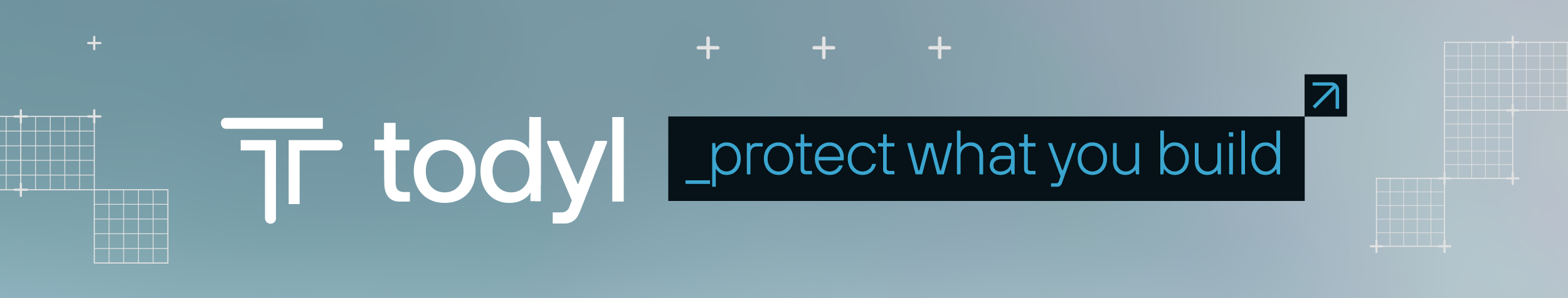 Todyl Security Platform