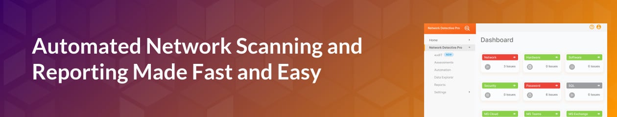 Network Detective Pro