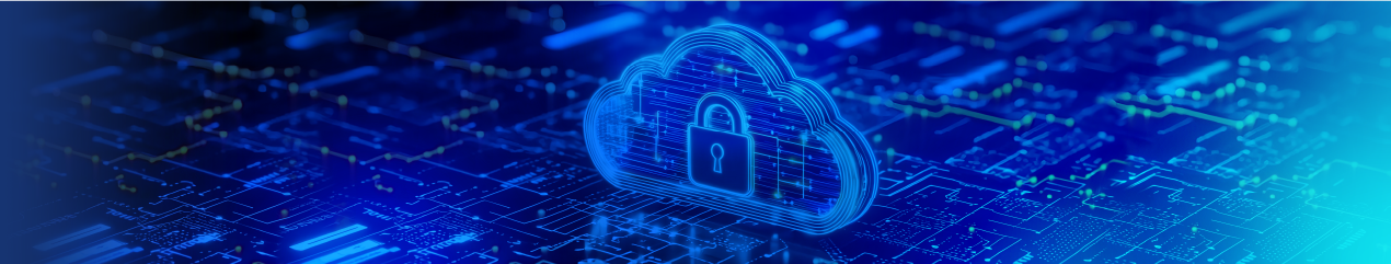 Radware Cloud DDoS Protection Service