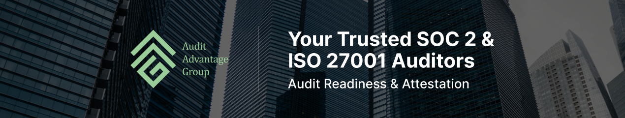 Audit Advantage Group