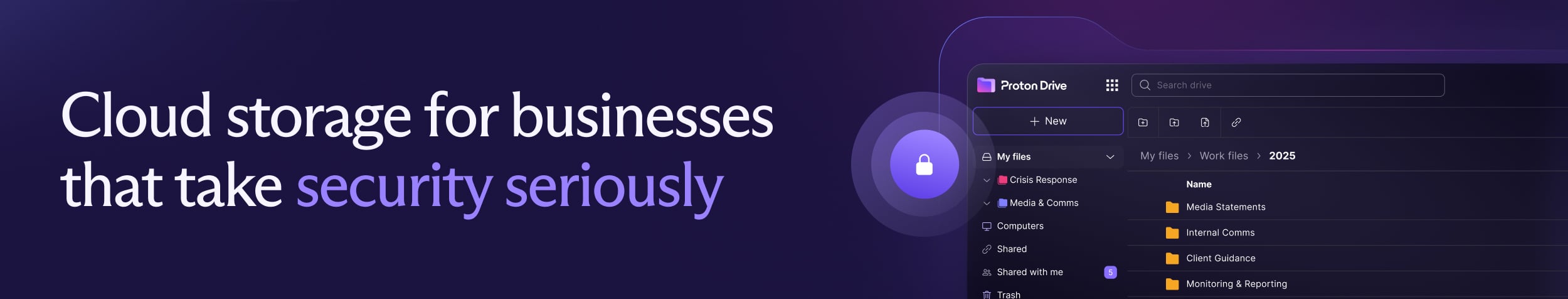 Proton Drive For Business