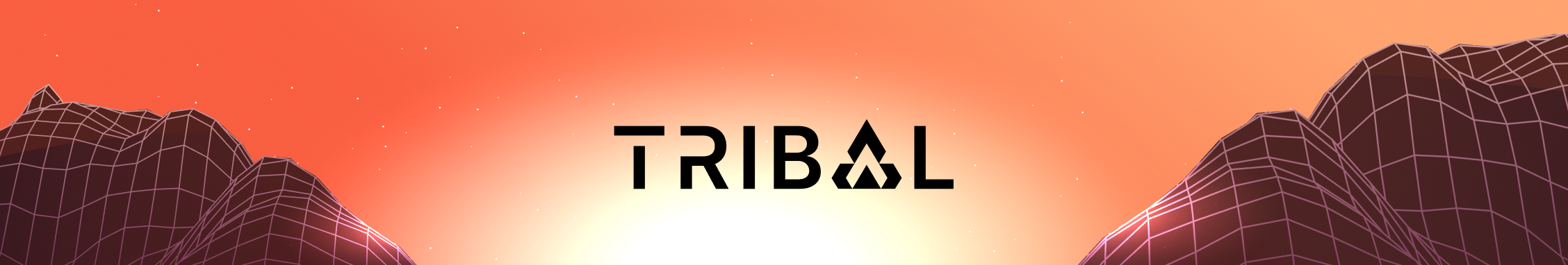 Tribal Platform