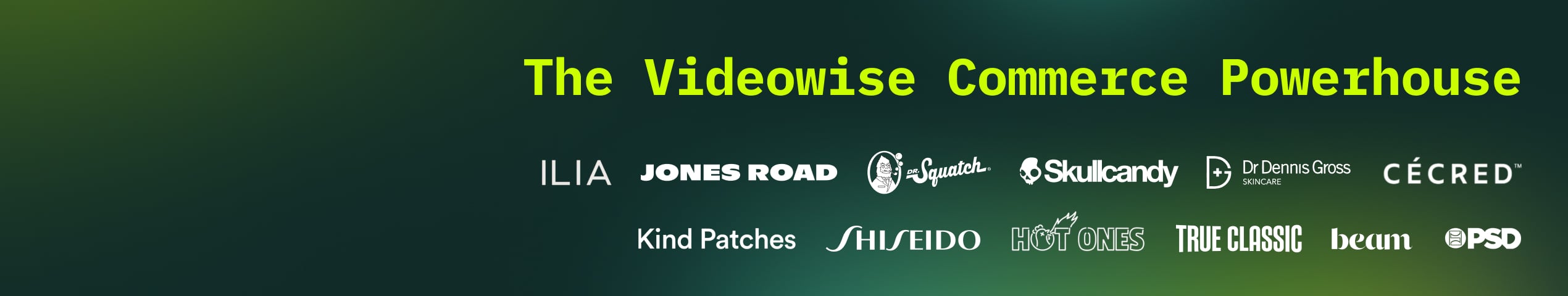 Videowise