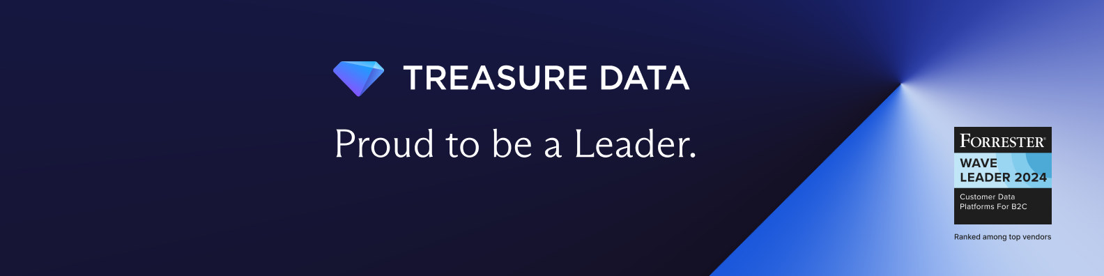 Treasure Data Customer Data Platform