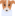 Mailbuddy
