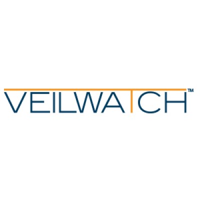 VEILWATCH Digital Video Analytics