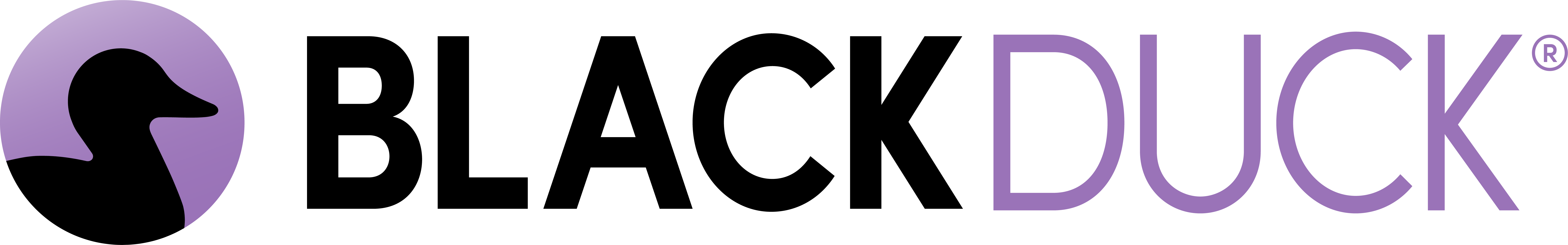 Black Duck Application Security Services