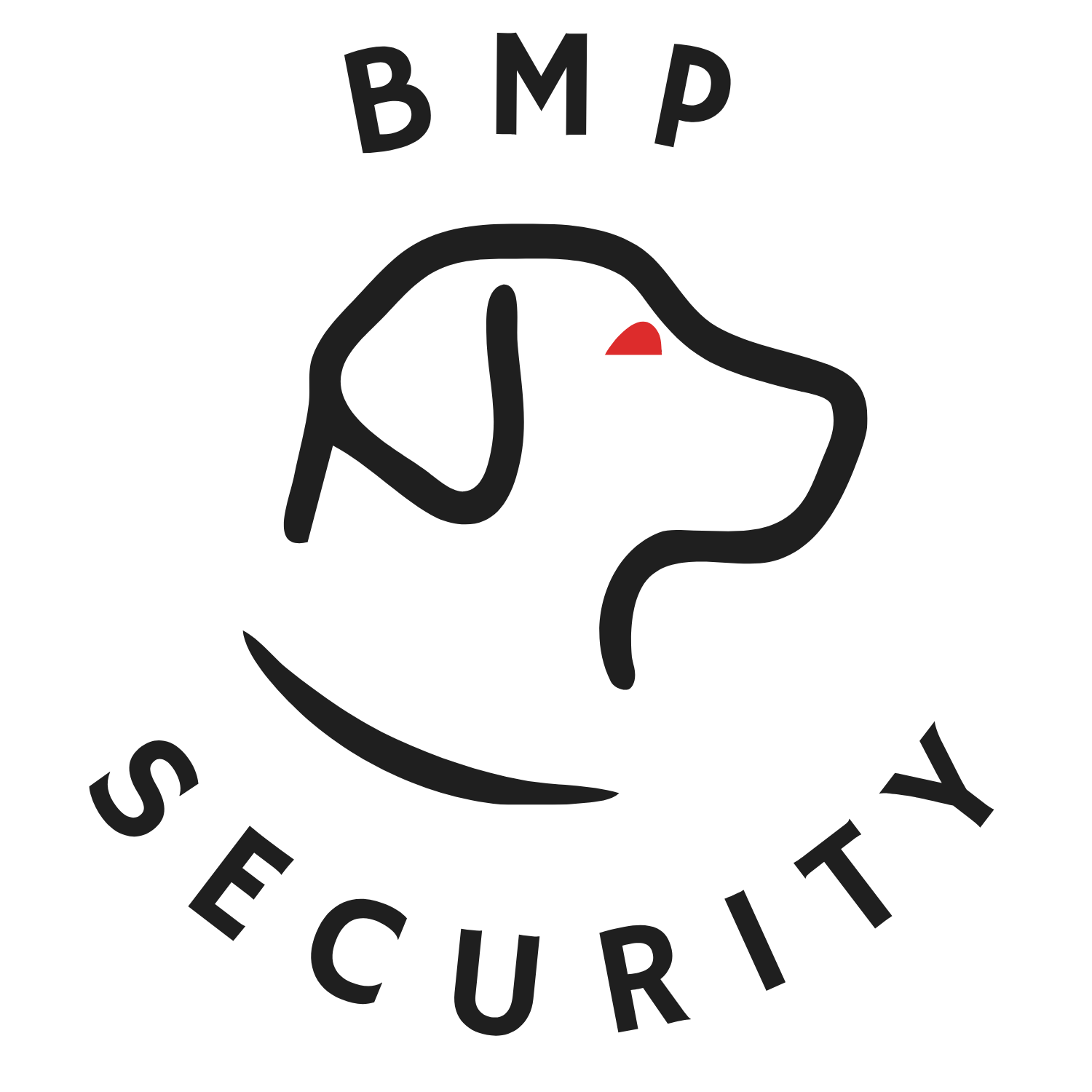 Imagen del Avatar del Producto