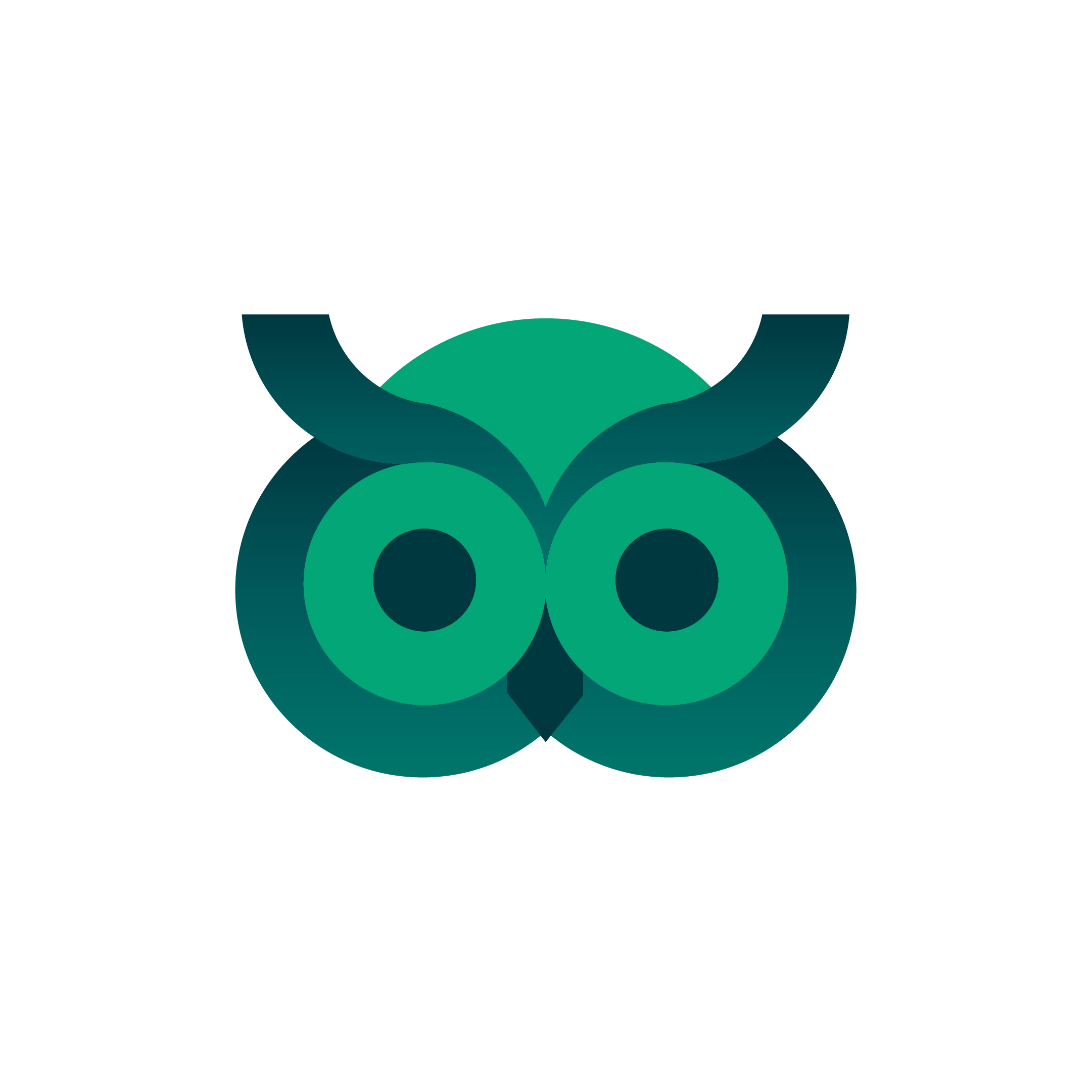 Imagen del Avatar del Producto