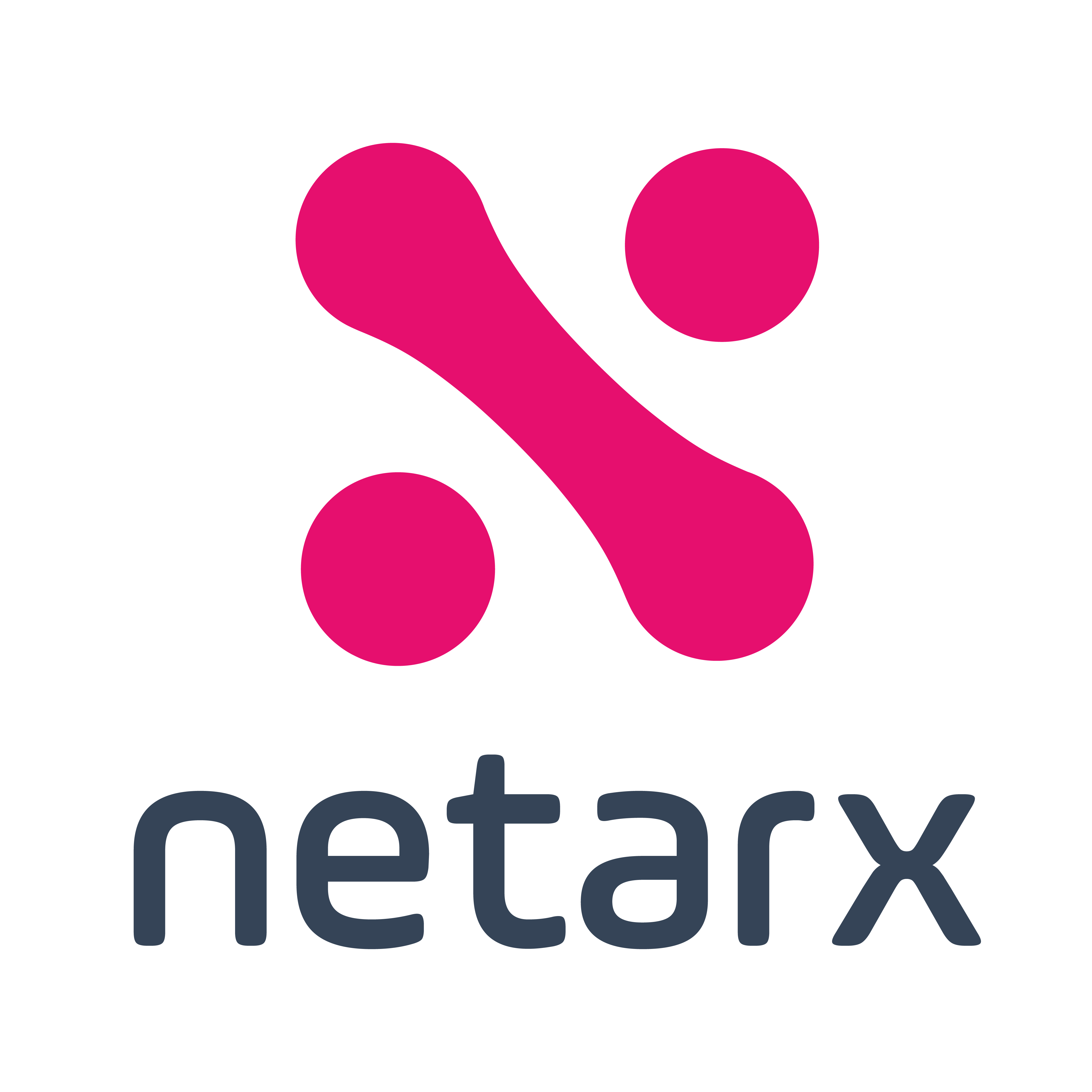 Netarx Identity Key logo