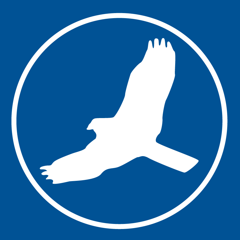 Image de l'avatar du produit