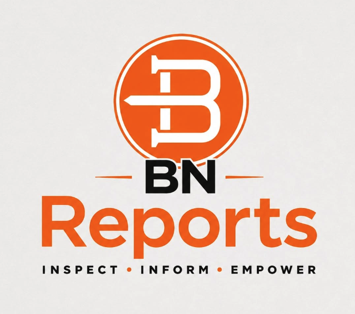 BN Reports logo