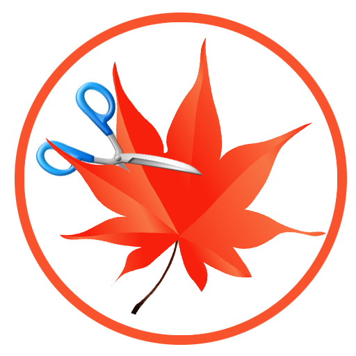 Product Avatar Image Product Avatar Image