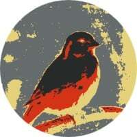 Immagine avatar del prodotto