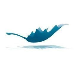 Product Avatar Image Product Avatar Image