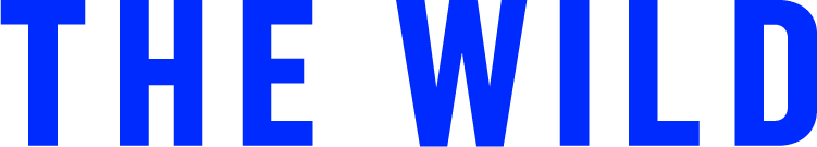 Imagen del Avatar del Producto