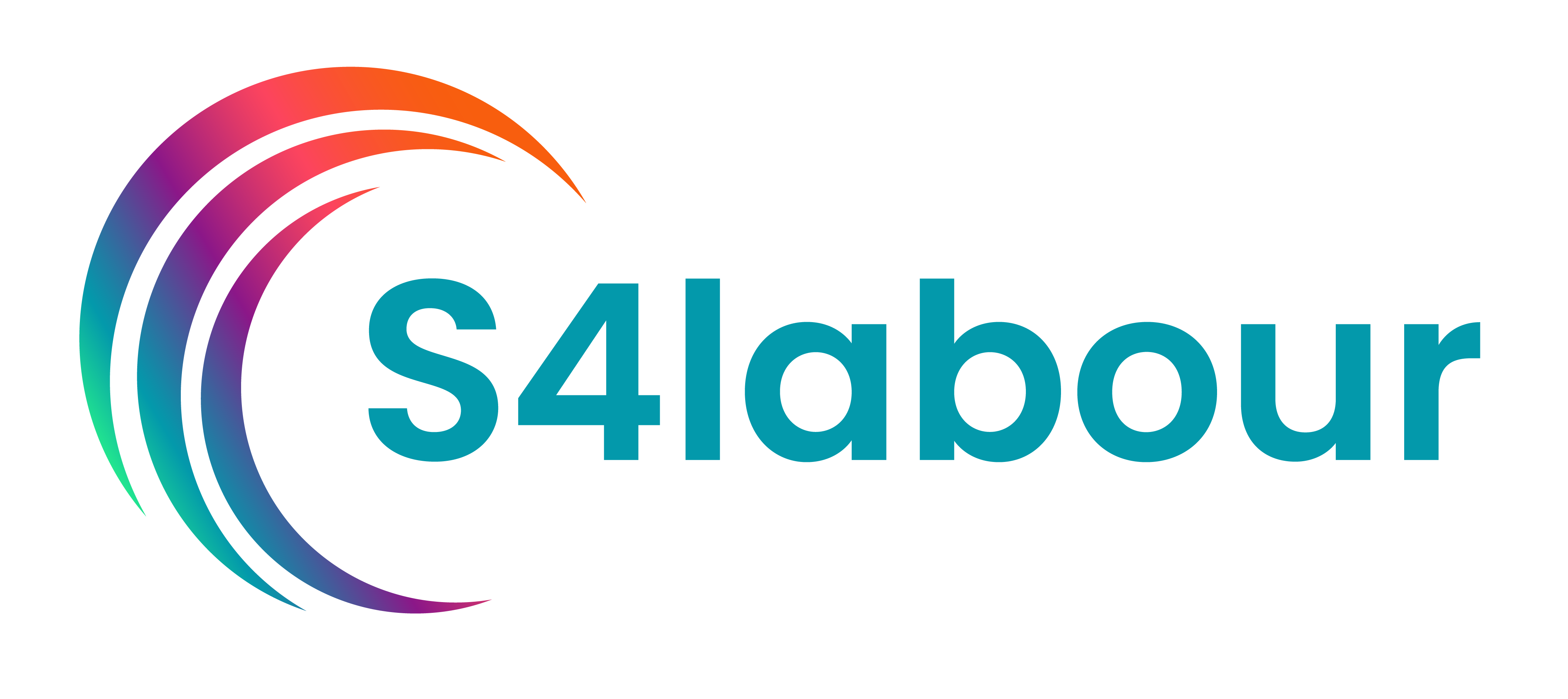 S4labour logo