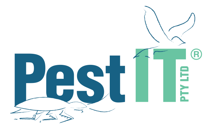 Image de l'avatar du produit