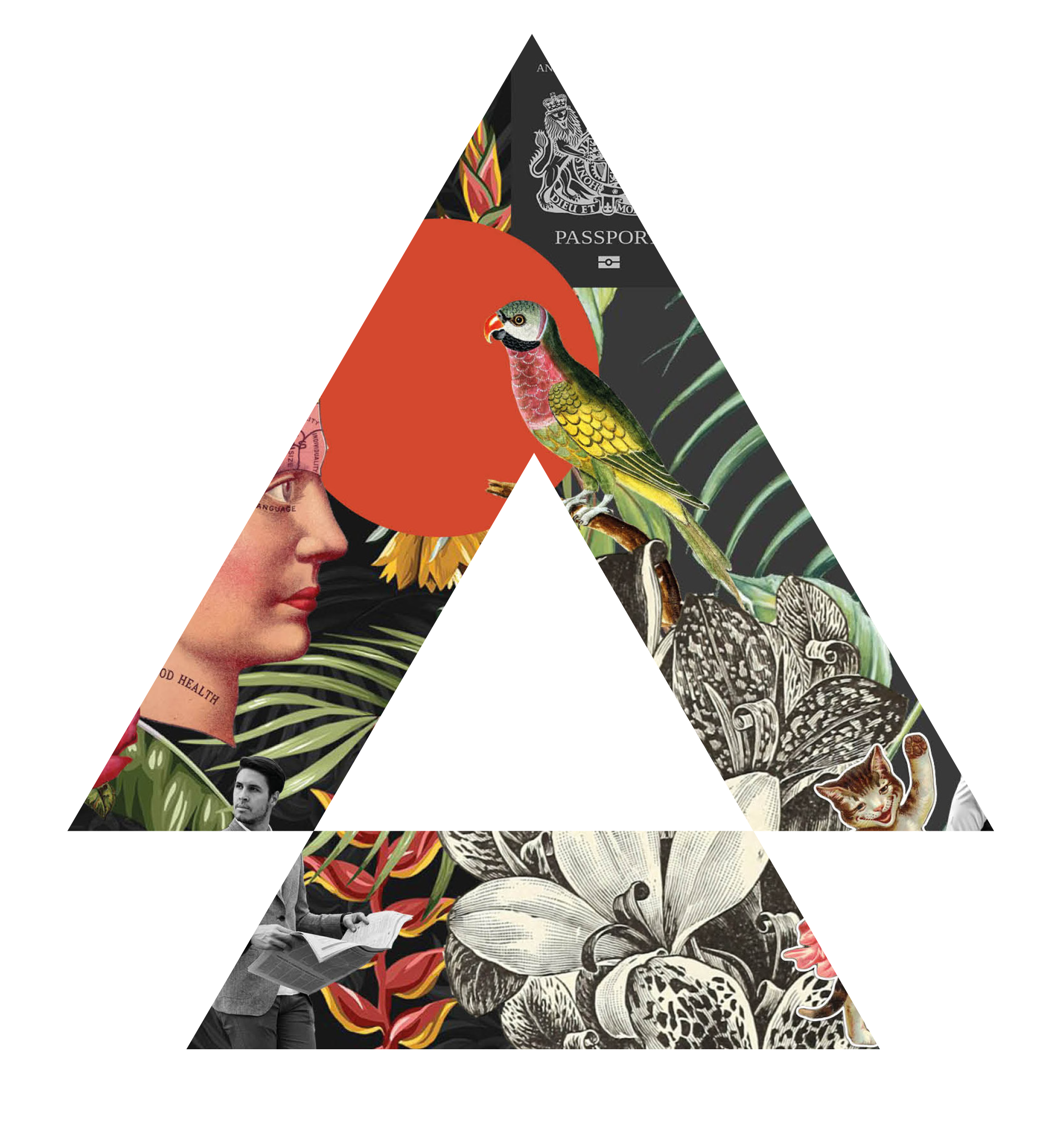 Image de l'avatar du produit