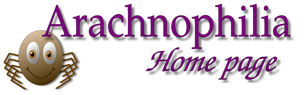 Imagen del Avatar del Producto