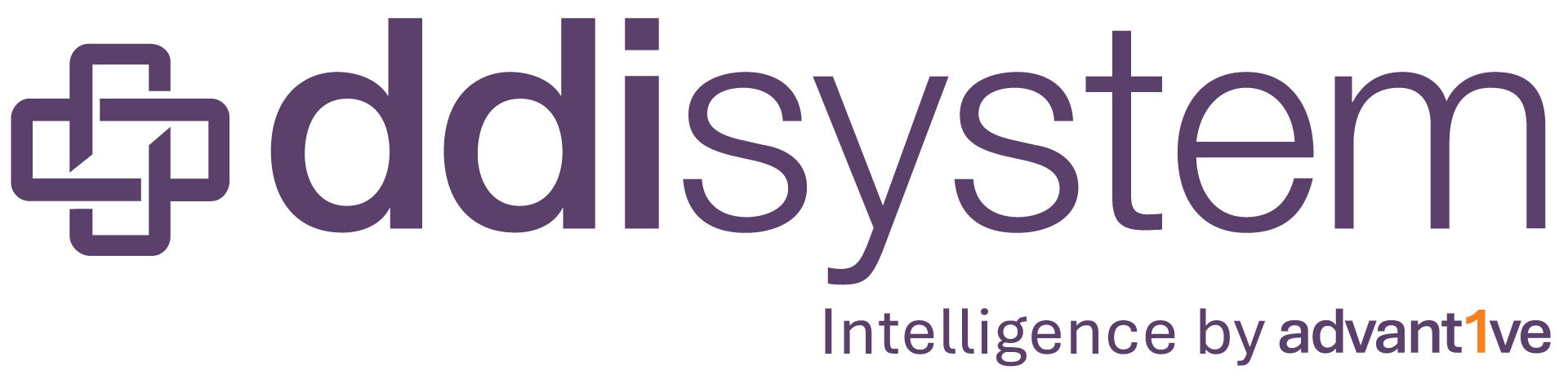 DDI System logo