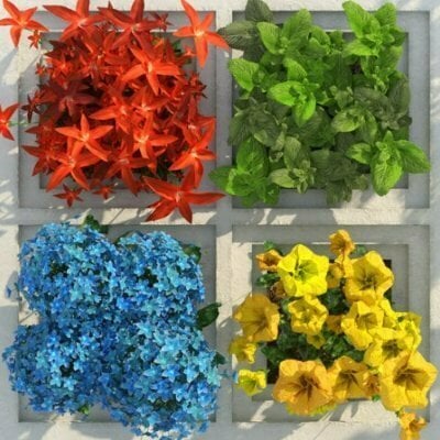 Image de l'avatar du produit Image de l'avatar du produit