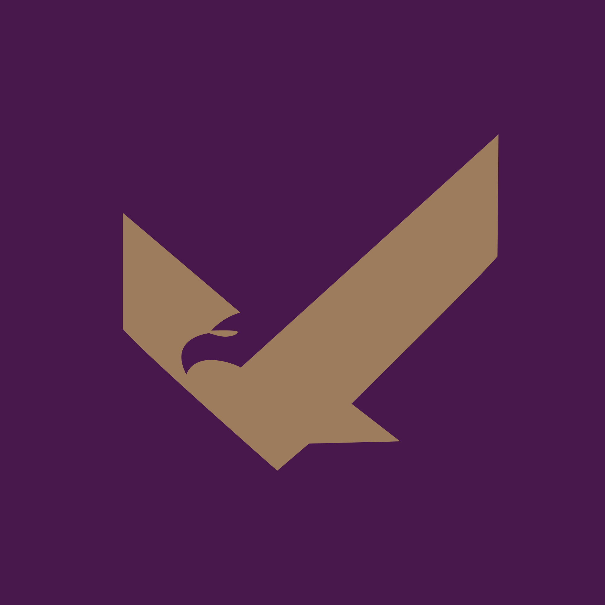 Imagen del Avatar del Producto