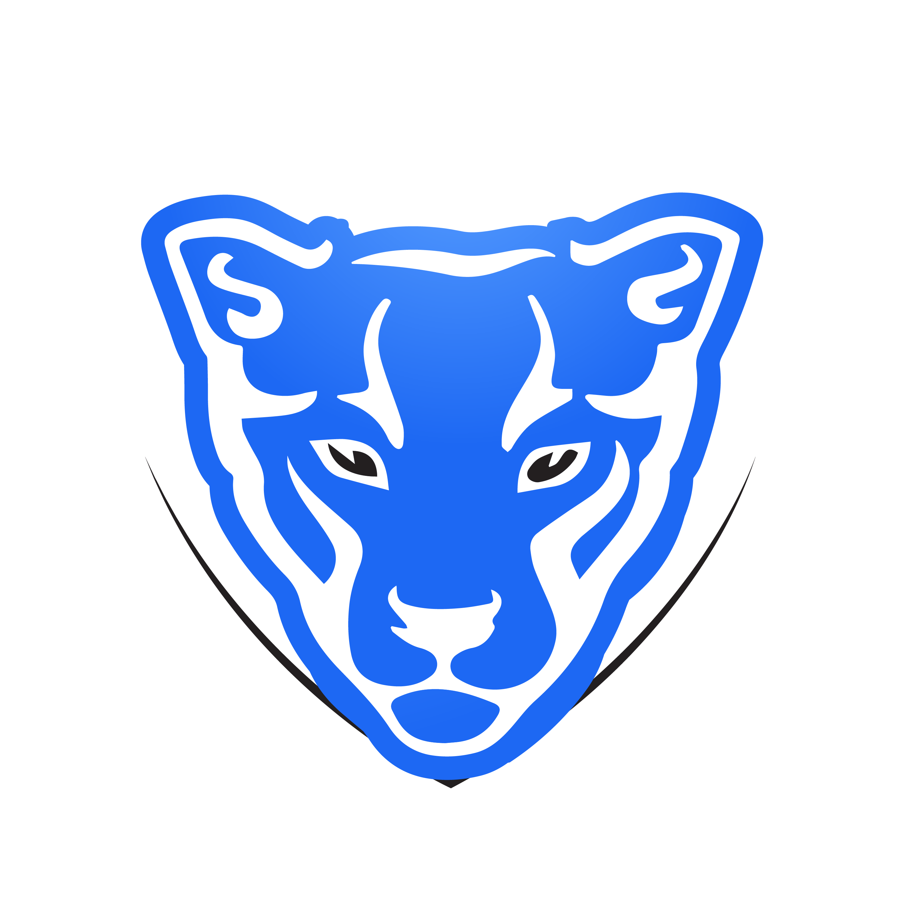 Product Avatar Image