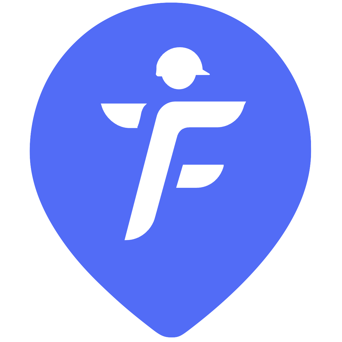 FieldVibe logo