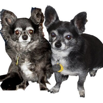 Product Avatar Image