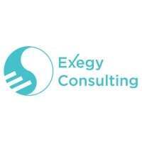 Exegy Consulting