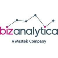 BizAnalytica BizAnalytica
