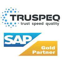 Truspeq Consulting Private Limited Truspeq Consulting Private Limited