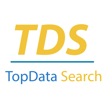 TopData Search Pricing