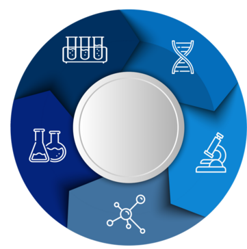 Imagen del Avatar del Producto