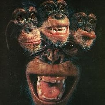 Image de l'avatar du produit