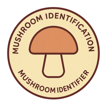 Imagem do Avatar do Produto