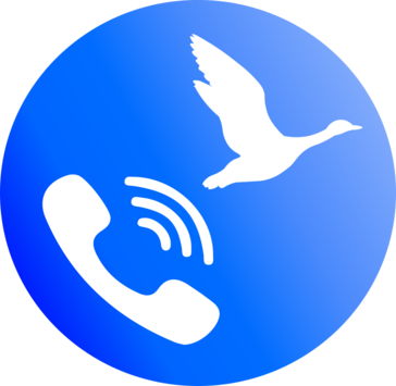 Imagen del Avatar del Producto