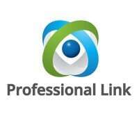 Professional Link Ltd
