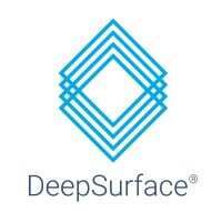 DeepSurface Risk Analyzer (BYOL)