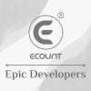 Epic Developers