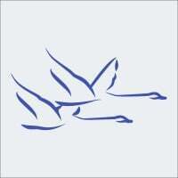 Tungsten Replicator for PostgreSQL Targets