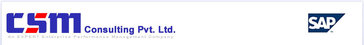 CSM Consulting CSM Consulting